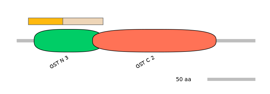 MmuINT0037299-EXC