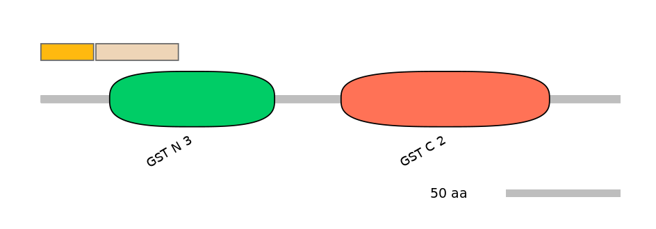 MmuINT0037303-EXC