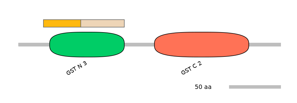 MmuINT0037304-EXC