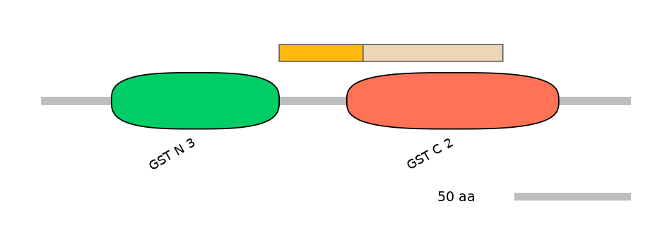 MmuINT0037306-EXC