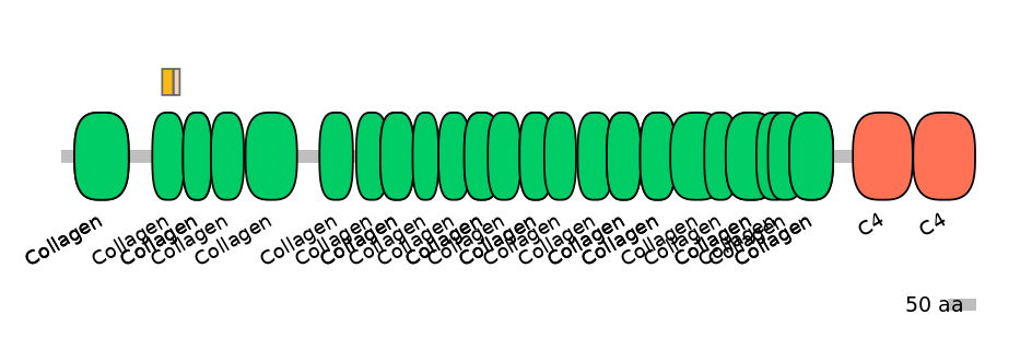 MmuINT0039874-EXC