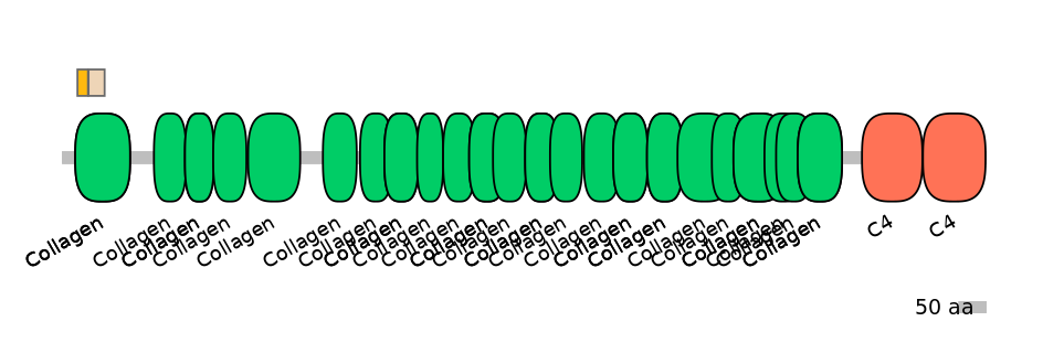 MmuINT0039884-EXC