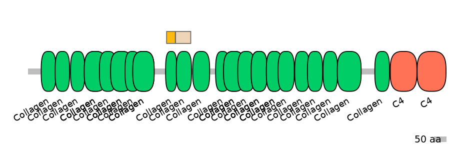 MmuINT0040056-EXC