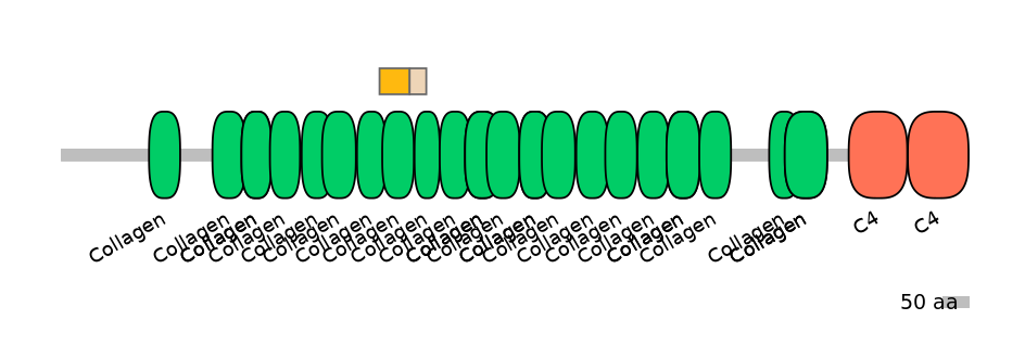 MmuINT0040105-EXC