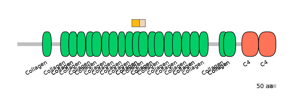 MmuINT0040110-EXC