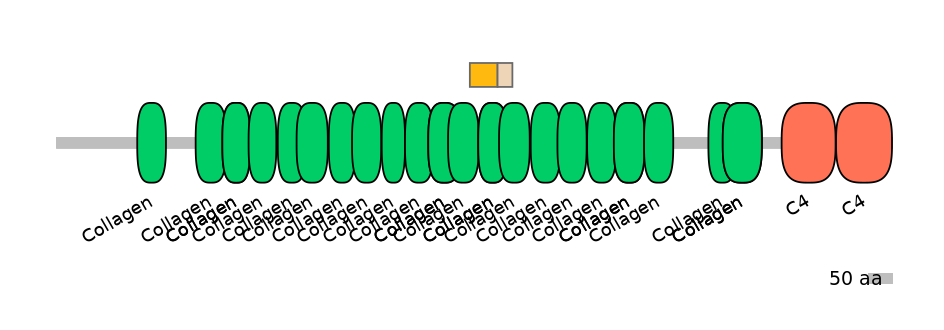 MmuINT0040112-EXC
