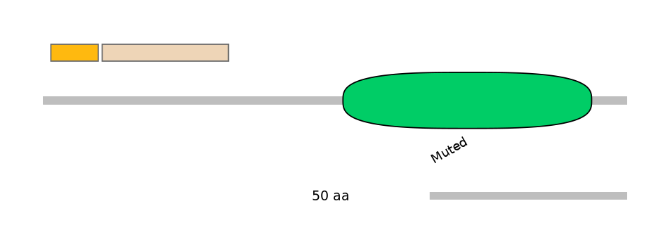 MmuINT0042060-EXC