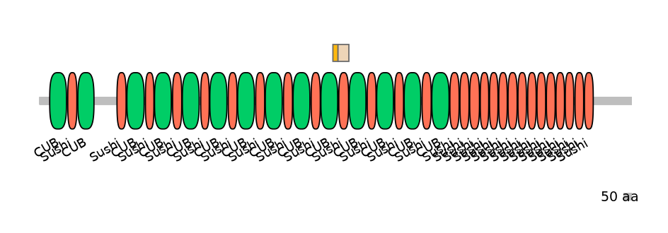 MmuINT0042937-EXC