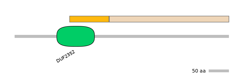 MmuINT0043184-EXC