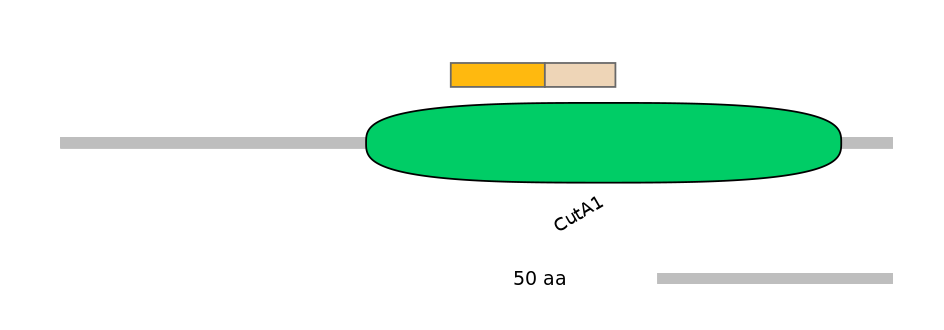 MmuINT0044187-EXC