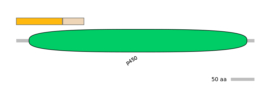 MmuINT0044657-EXC