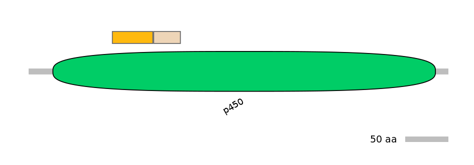 MmuINT0044701-EXC