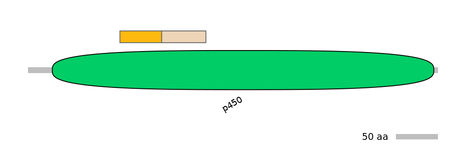 MmuINT0044926-EXC