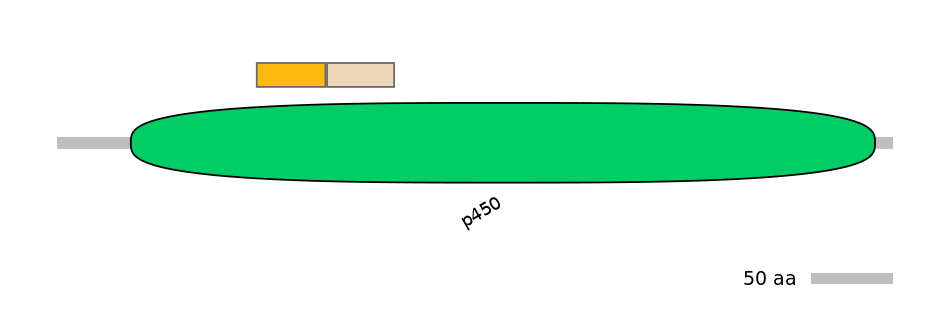 MmuINT0045352-EXC