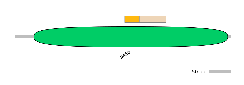 MmuINT0045473-EXC