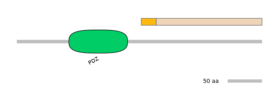 MmuINT0045572-EXC