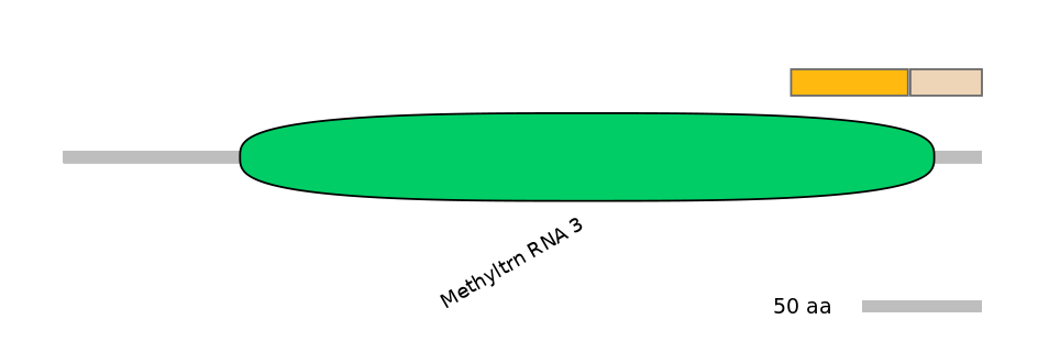 MmuINT0045975-EXC