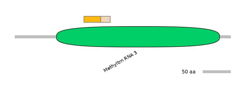 MmuINT0045979-EXC