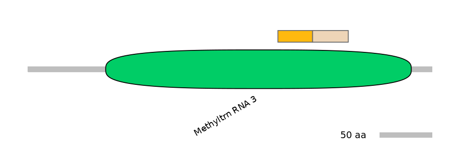 MmuINT0045983-EXC