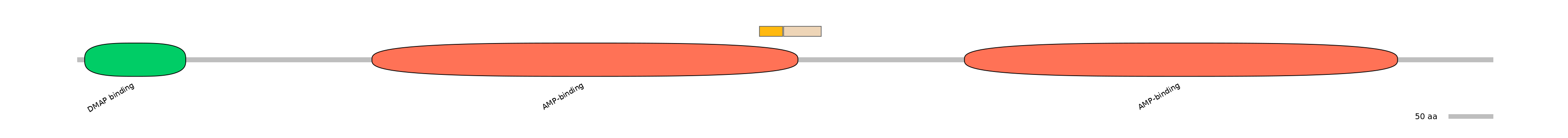 MmuINT0049543-EXC