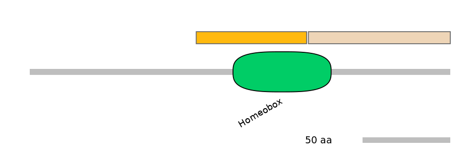 MmuINT0050113-EXC
