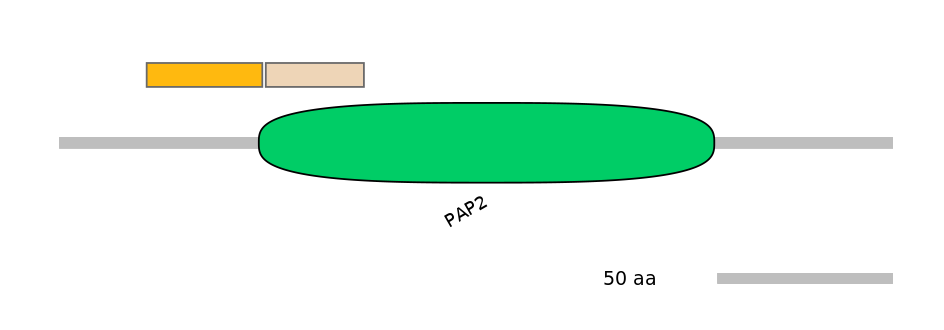 MmuINT0052623-EXC