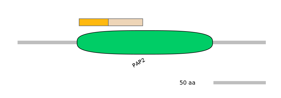 MmuINT0052624-EXC