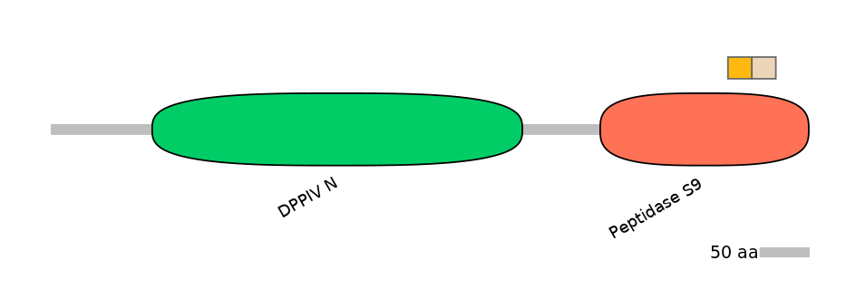 MmuINT0052927-EXC