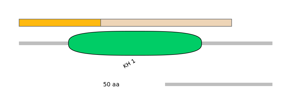 MmuINT0053035-EXC