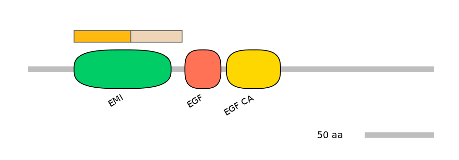 MmuINT0055821-EXC