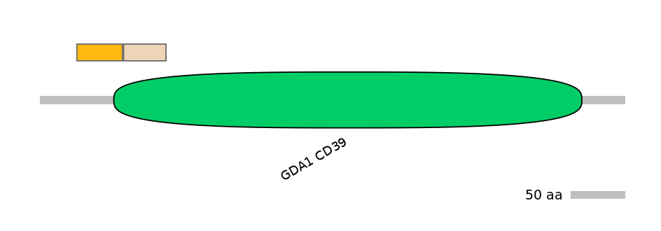 MmuINT0057662-EXC