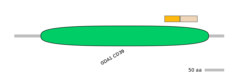 MmuINT0057668-EXC