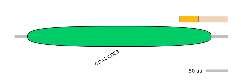 MmuINT0057677-EXC