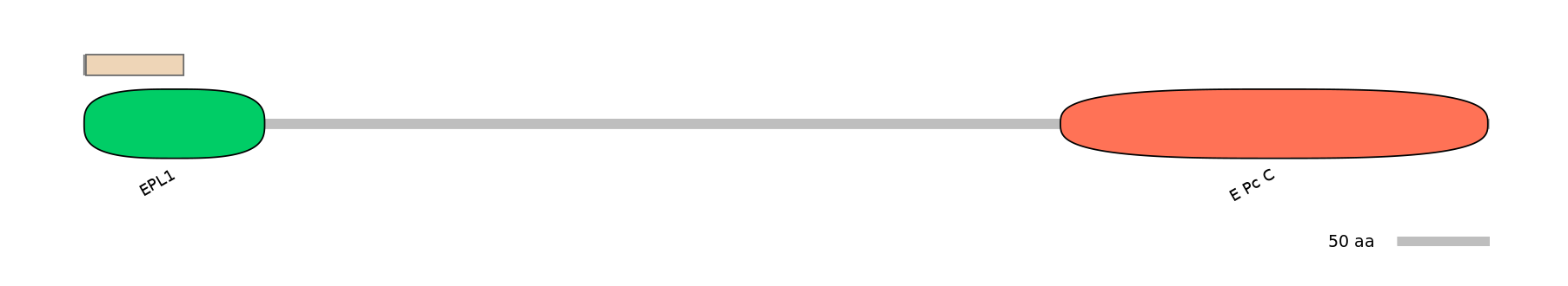 MmuINT0058030-EXC