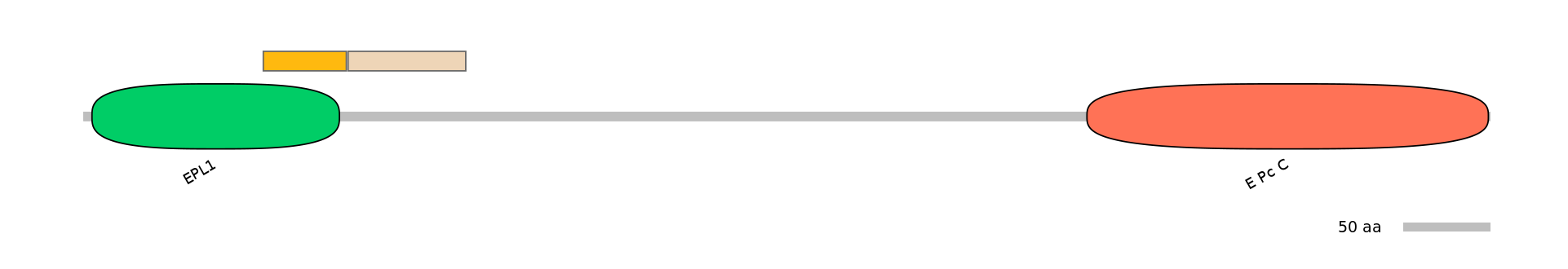 MmuINT0058035-EXC
