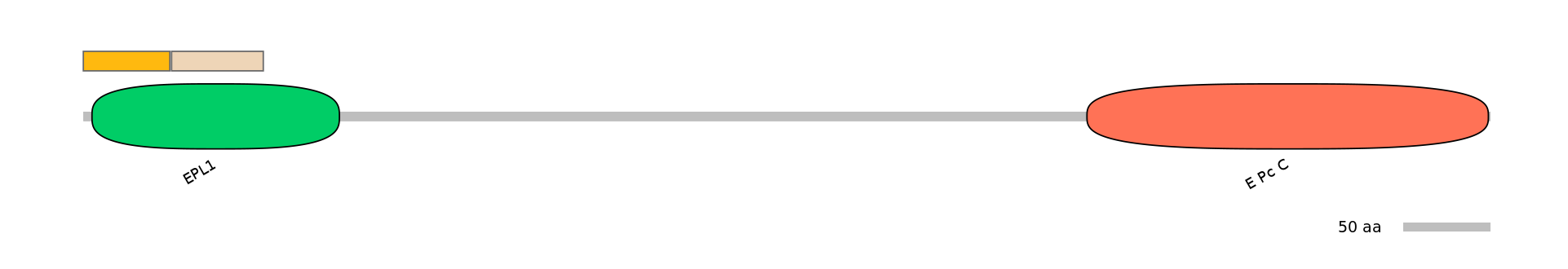 MmuINT0058042-EXC