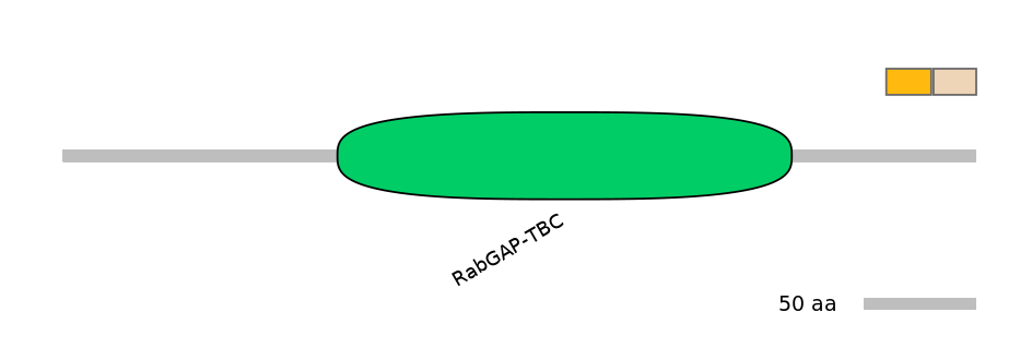 MmuINT0059540-EXC