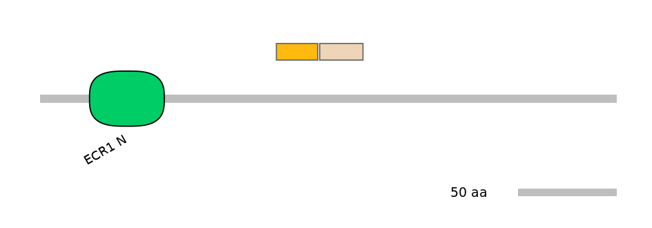 MmuINT0059851-EXC