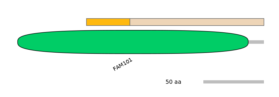 MmuINT0060444-EXC