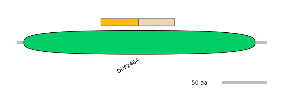 MmuINT0060687-EXC