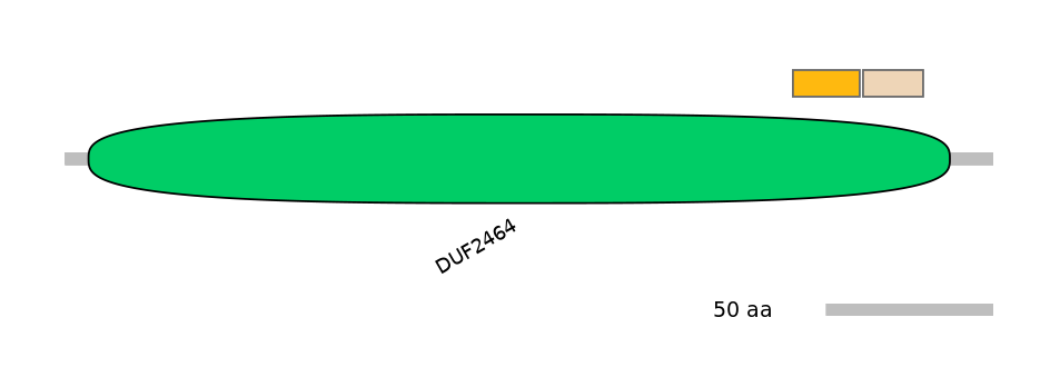 MmuINT0060690-EXC