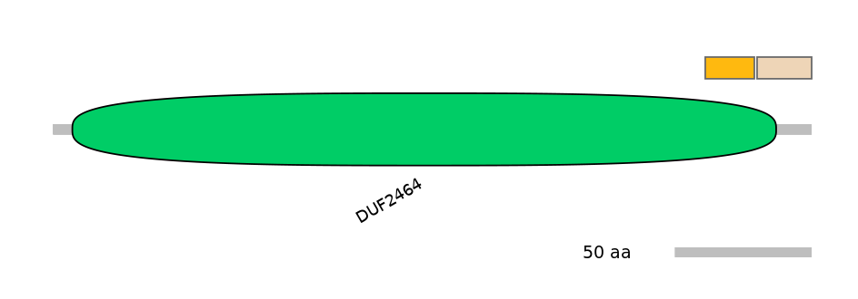 MmuINT0060691-EXC
