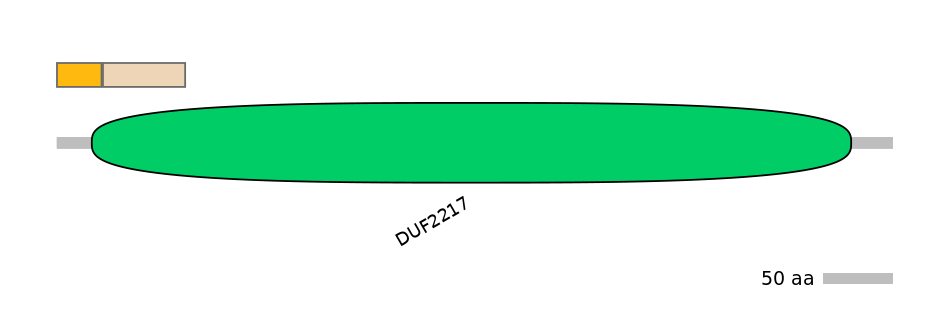 MmuINT0062053-EXC