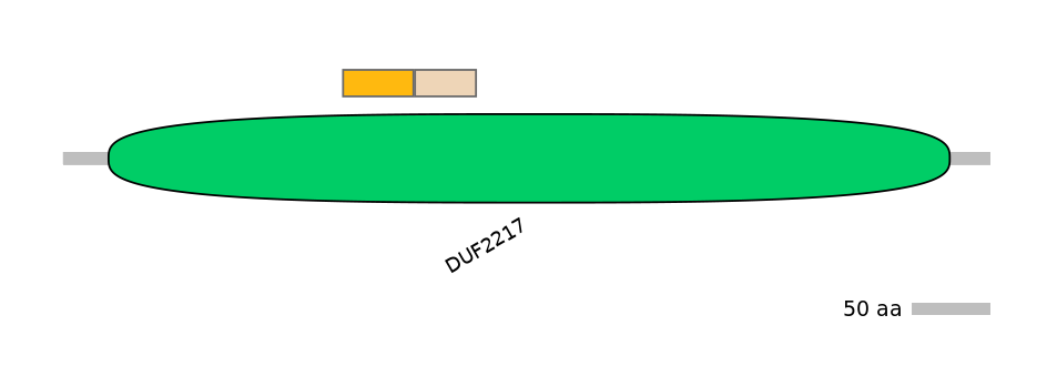 MmuINT0062072-EXC