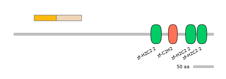 MmuINT0068490-EXC