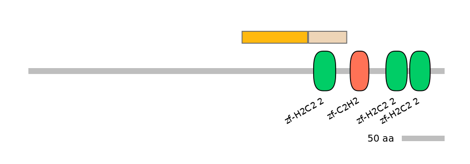 MmuINT0068492-EXC