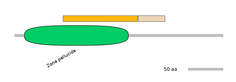 MmuINT0070224-EXC