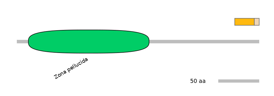 MmuINT0070227-EXC