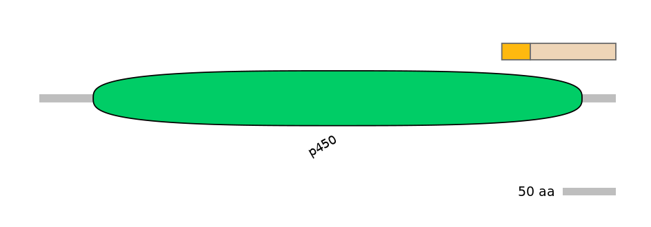 MmuINT0071534-EXC