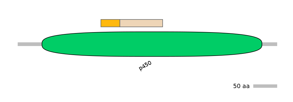 MmuINT0071539-EXC